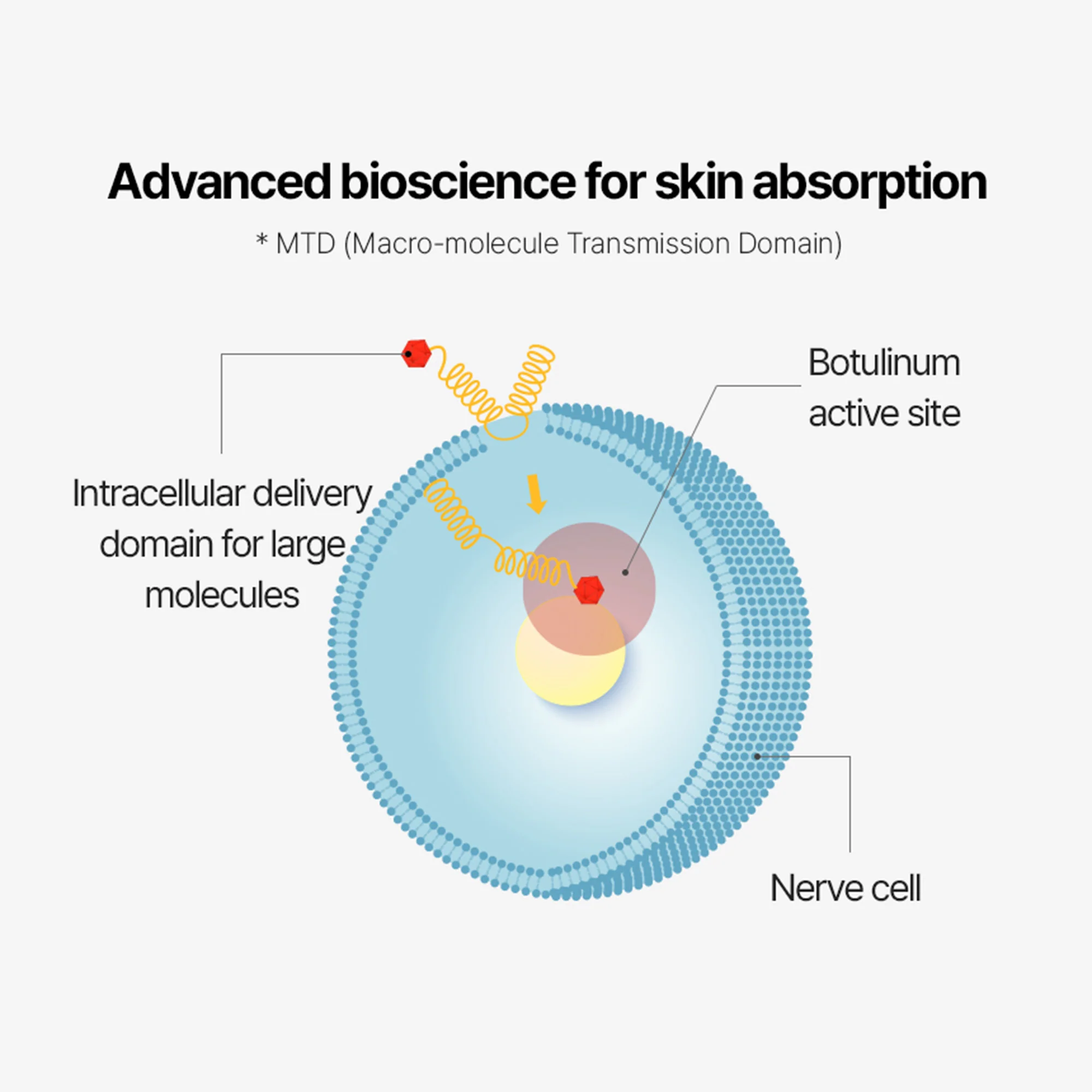 Arocell 1 Second Absorbing Bubble Serum for Wrinkles, Pores & Skin Firming - Image 9