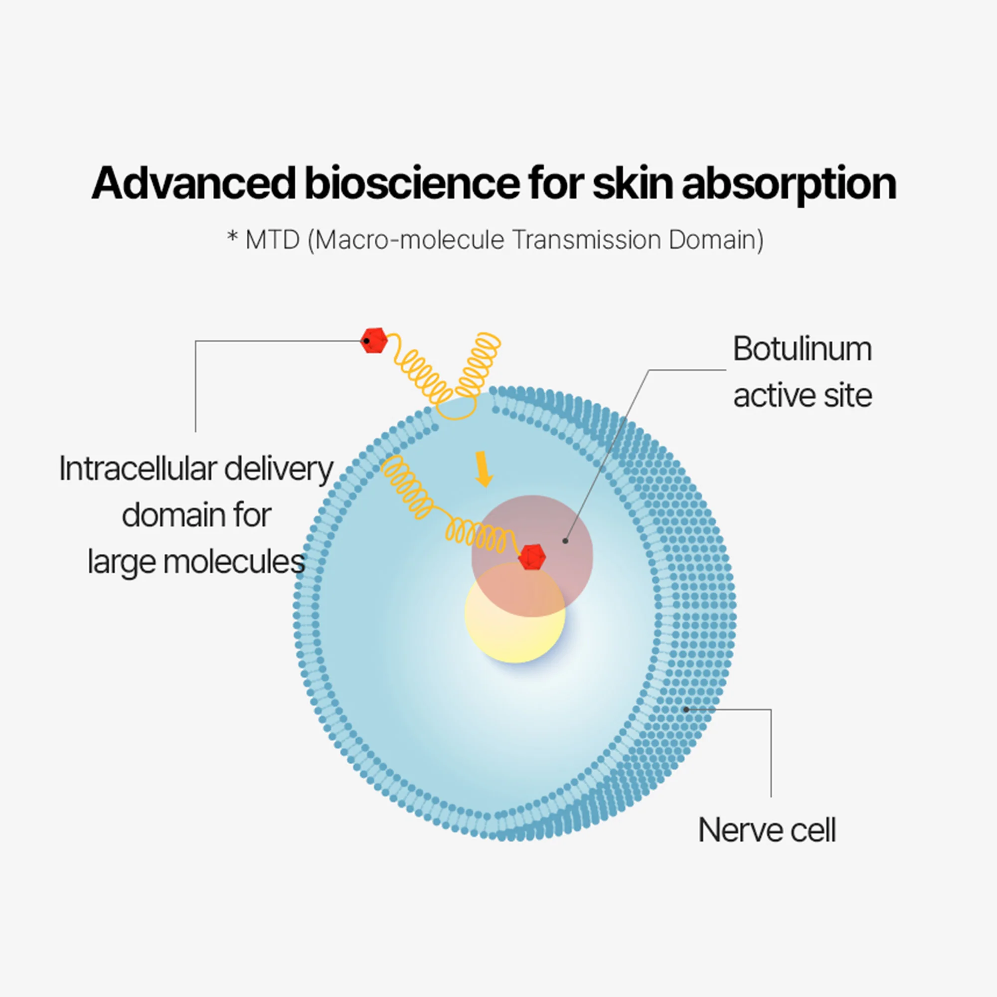 Arocell Botulcare Graphene Face Mask (5 Sheets) Deep Absorption Energy Mask – Korean Firming & Hydrating Sheet Mask - Image 7