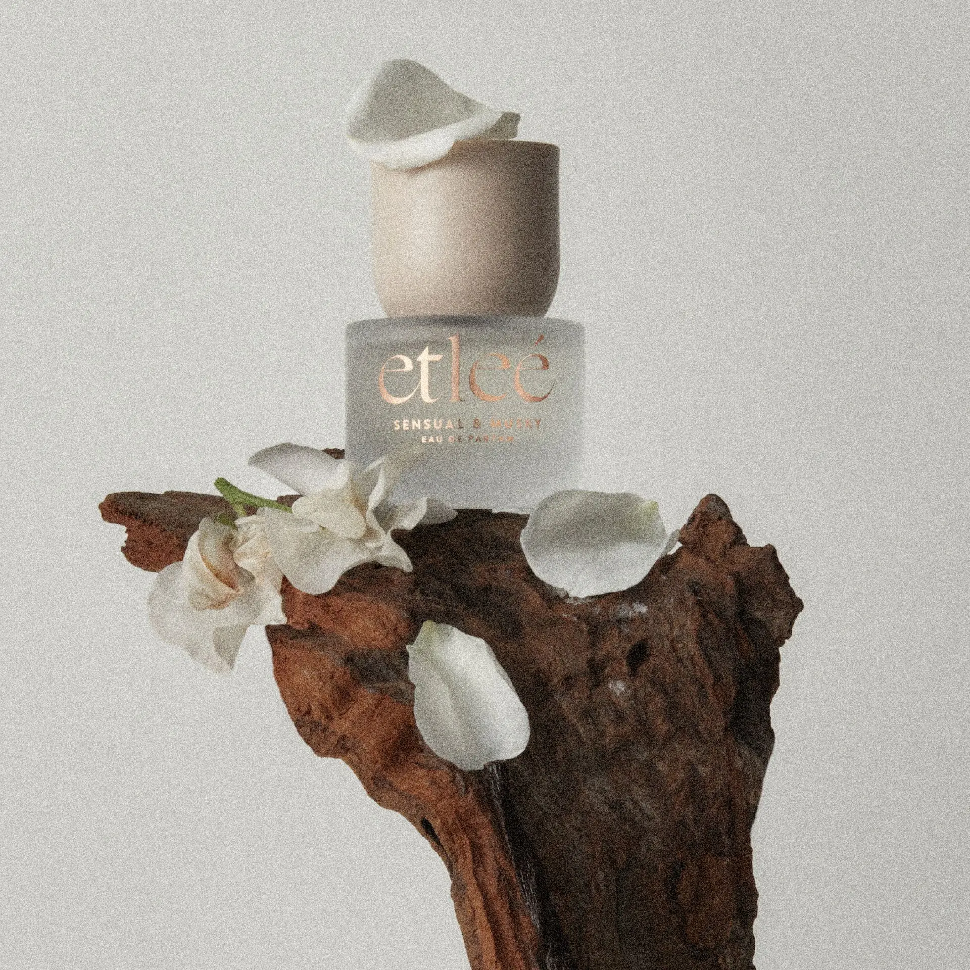 etleé Perfume Sensual & Musky Eau De Parfum - Image 10