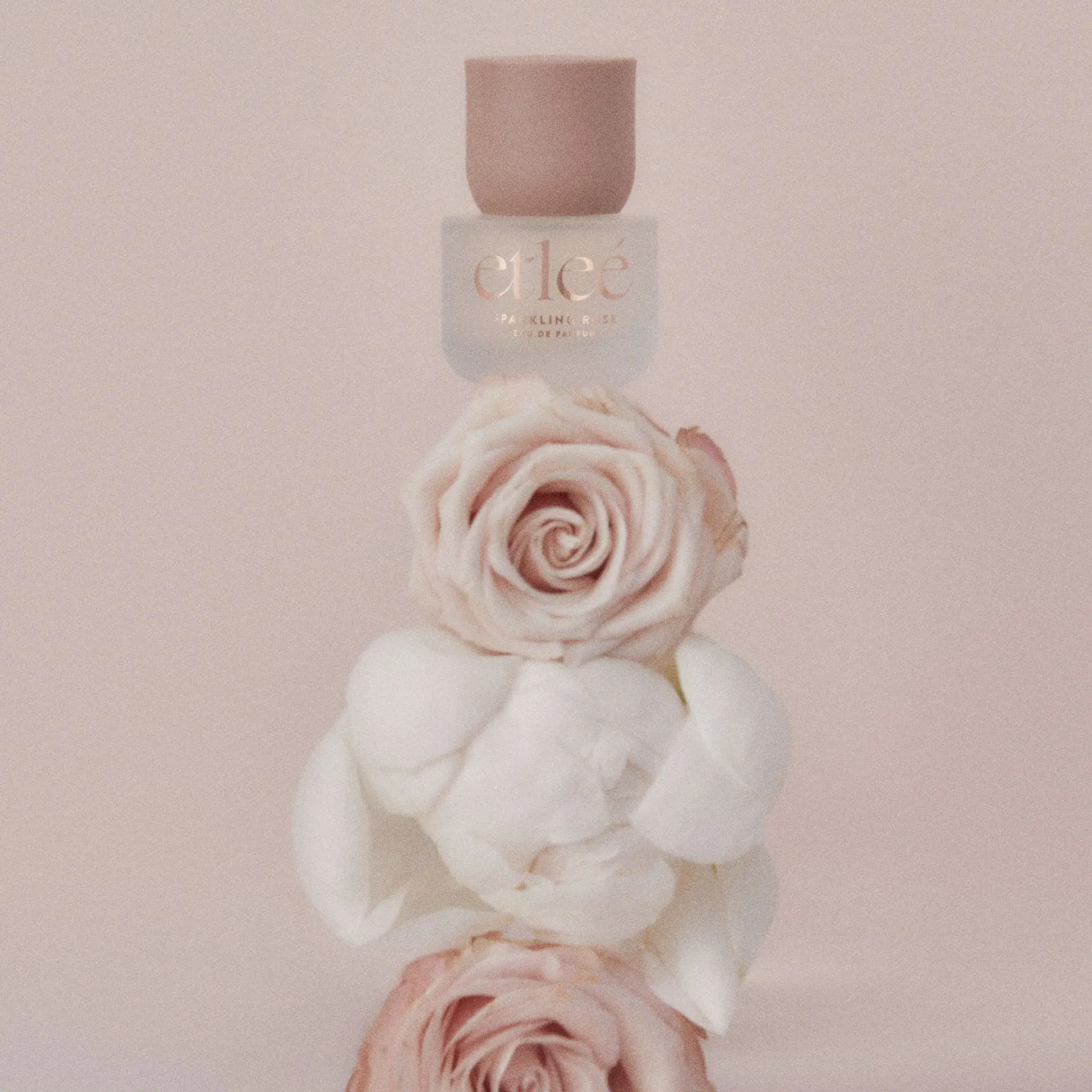 etleé Perfume Sparkling Rose Eau De Parfum - Image 10