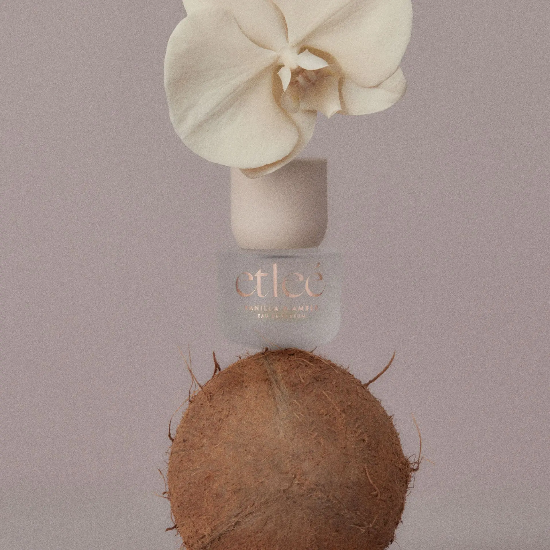 etleé Perfume Vanilla & Amber Eau De Parfum - Image 19