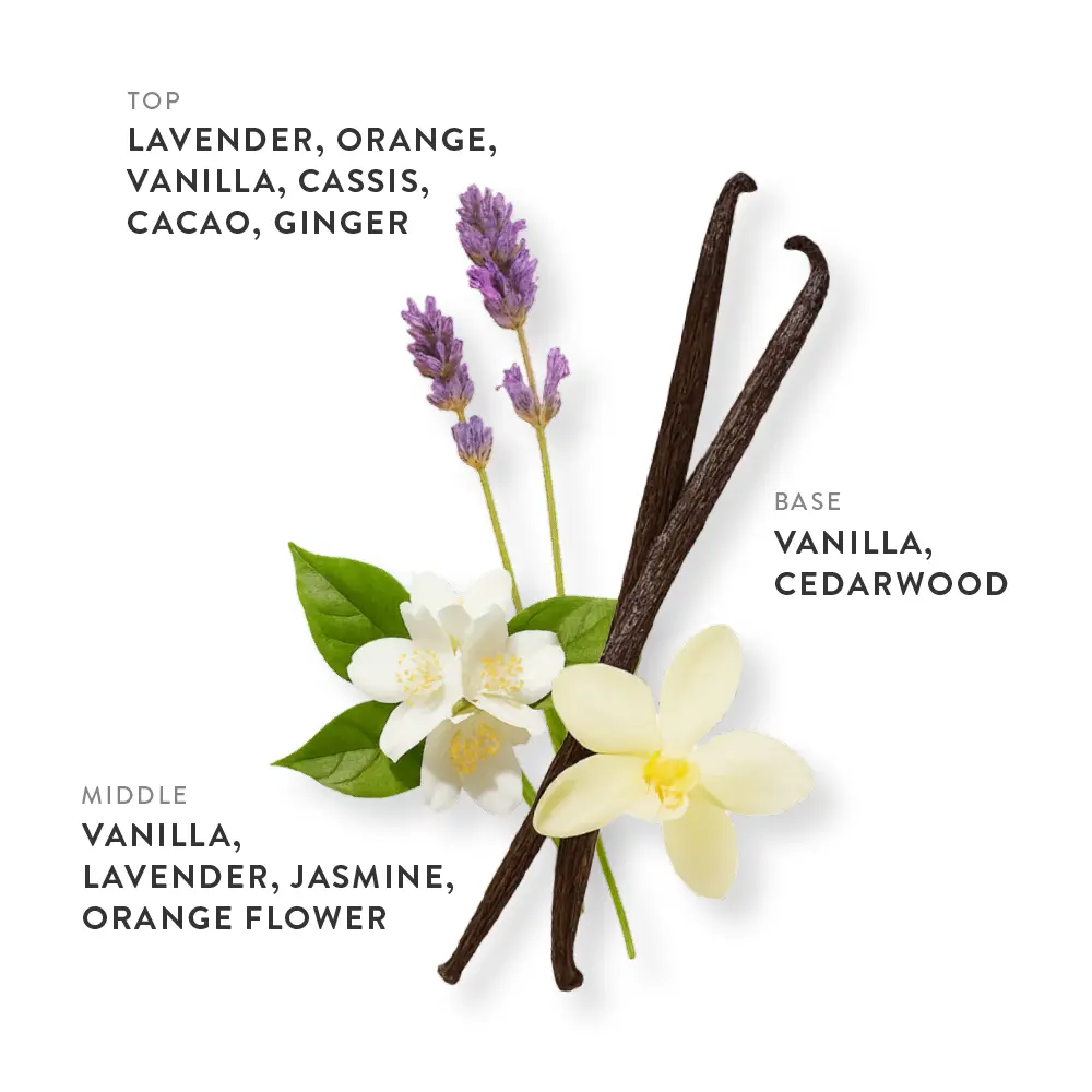 etleé Perfume Vanilla & Lavender Eau De Parfum - Image 12