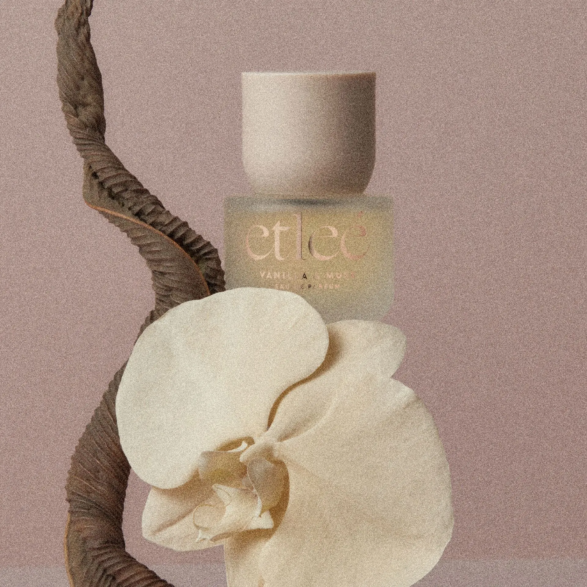 etleé Perfume Vanilla & Musk Eau De Parfum - Image 10