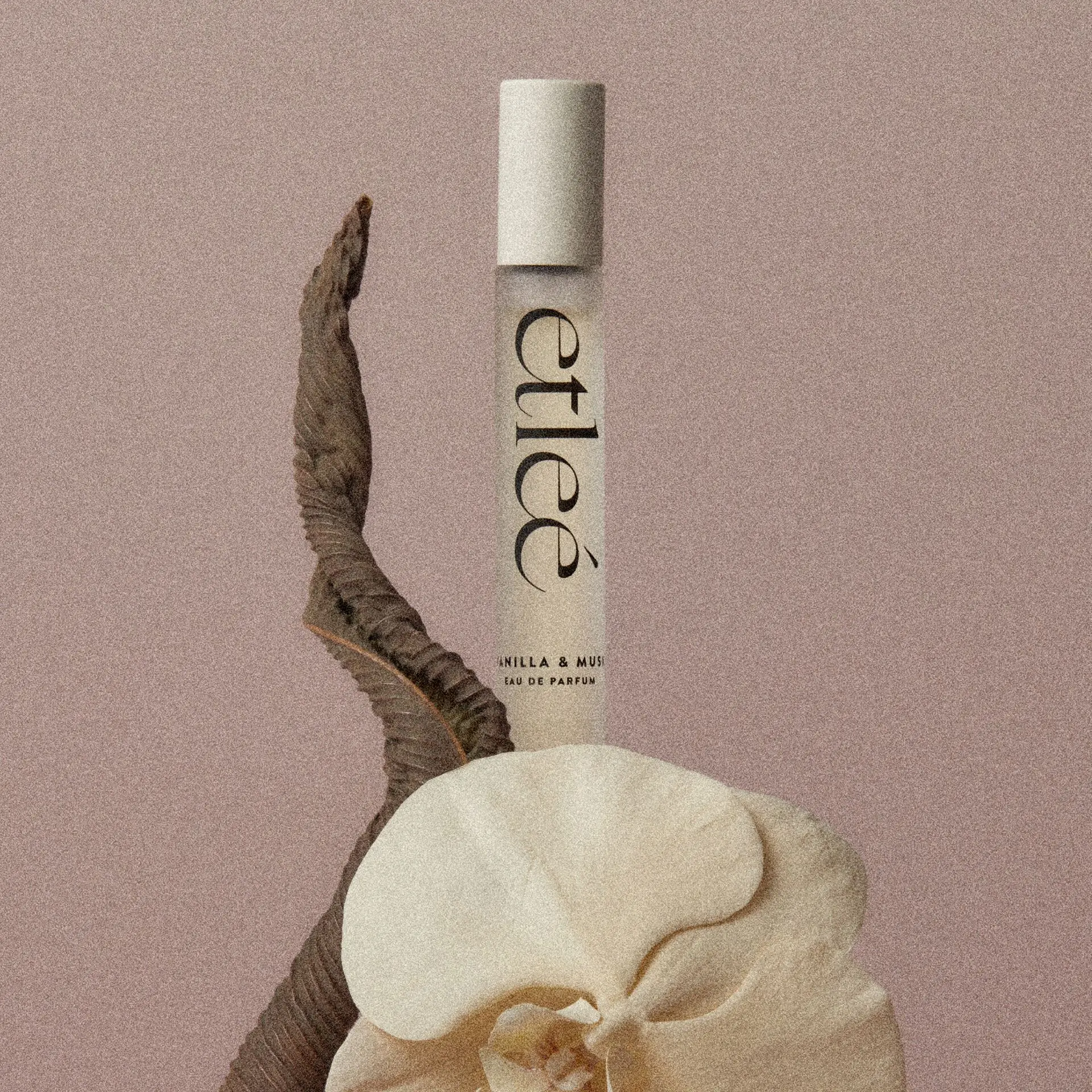 etleé Perfume Vanilla & Musk Eau De Parfum - Image 19
