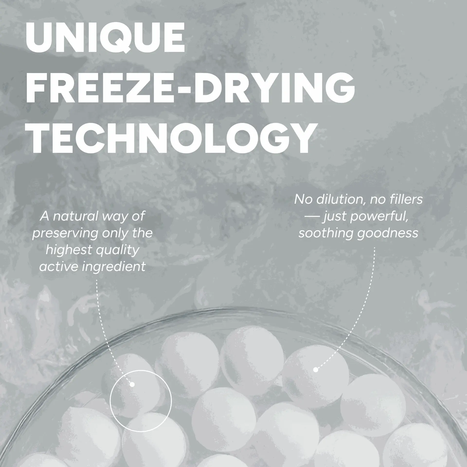 HealMize Freeze-Dried Cica Calming Melting Capsule for Instant Soothing & Barrier Repair - Image 3