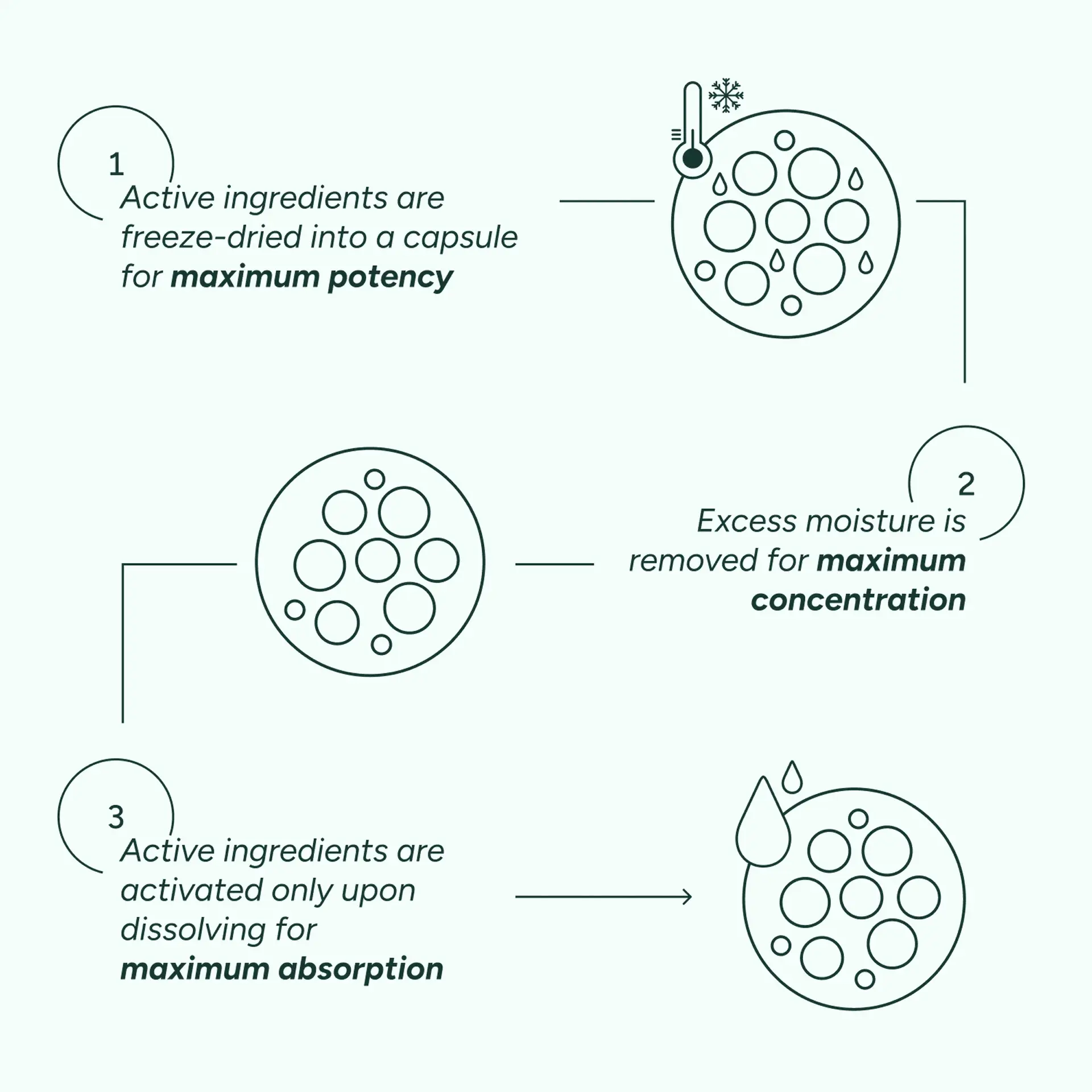 HealMize Freeze-Dried Cica Calming Melting Capsule for Instant Soothing & Barrier Repair - Image 6