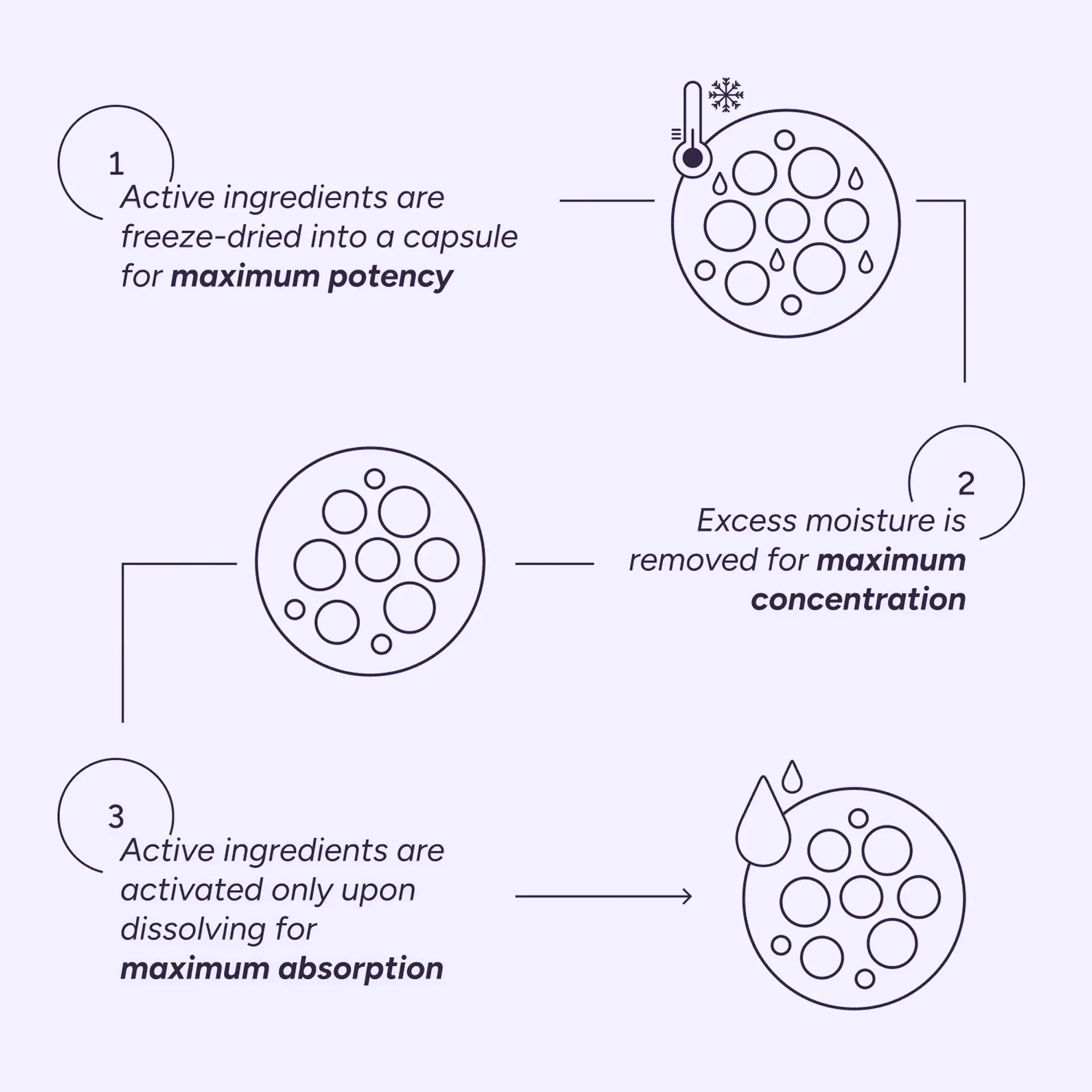 HealMize Freeze-Dried Collagen Boosting Melting Capsule for Firm, Hydrated & Youthful Skin - Image 15