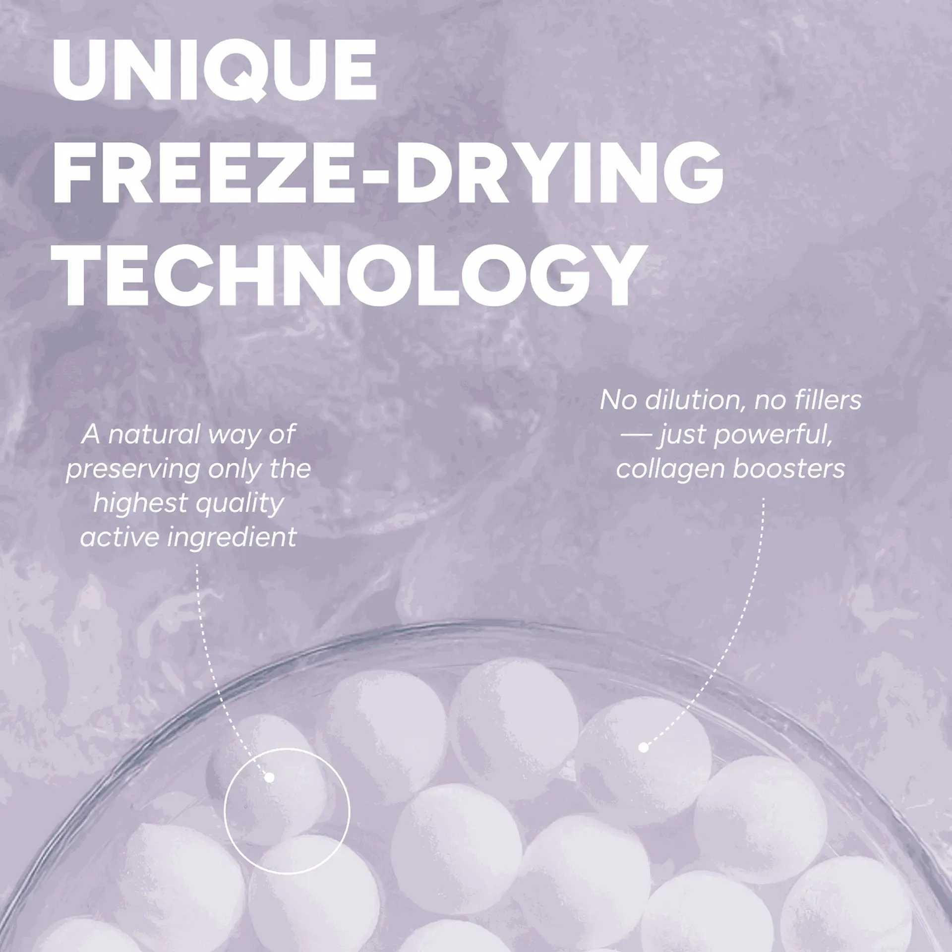 HealMize Freeze-Dried Collagen Boosting Melting Capsule for Firm, Hydrated & Youthful Skin - Image 3