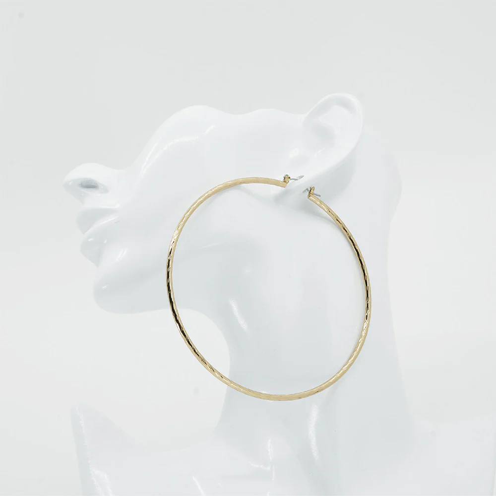 RED by KISS Gold / Silver Plated Pincatch Hoop Earrings - Image 31