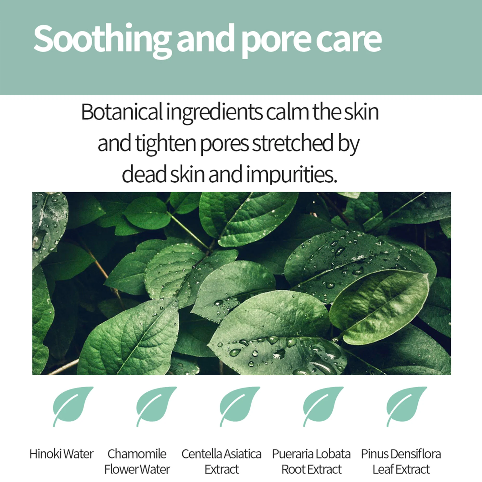 Arocell Dual-Sided Pore Clear Pads – Daily Mildly Acidic Toner Pads with AHA BHA PHA - Image 9