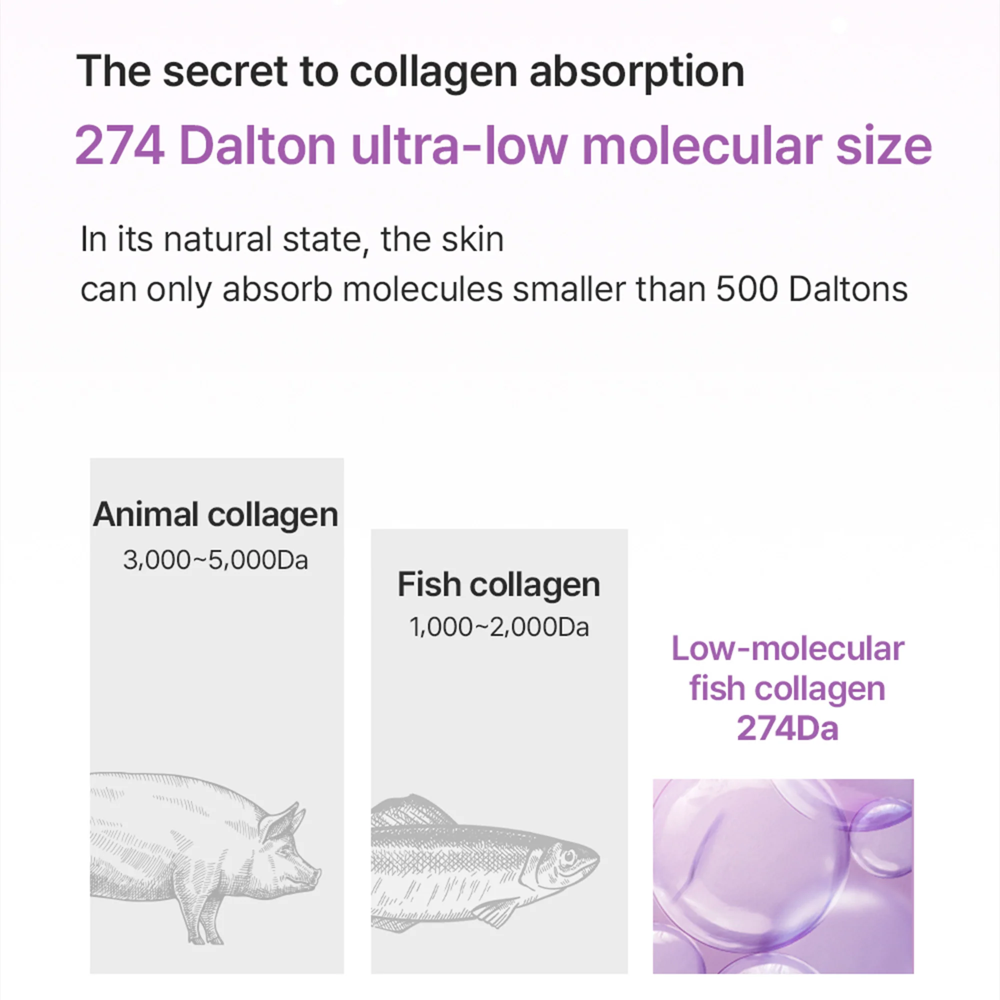 Arocell Super Collagen Booster Bubble Serum – Visible Firmness & Glow in 2 Weeks - Image 14